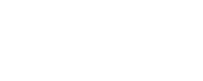 Switch Beauty and Fashion Boutique logo