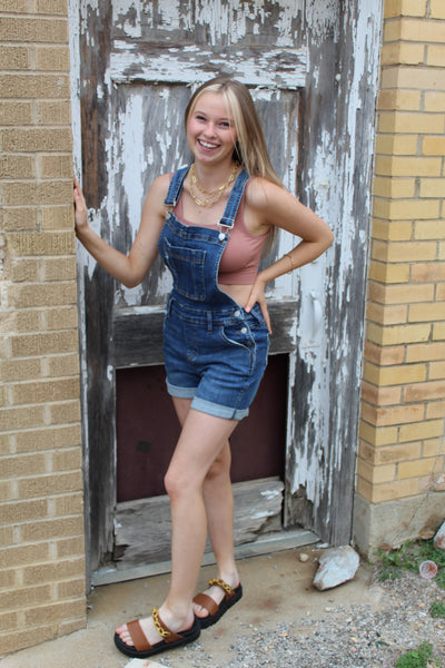 Judy Blue Overall Shorts